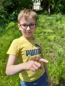 vssanktjohann_2a_Schmetterlingsprojekt2