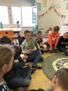 vssanktjohann_3a Frühblüher4