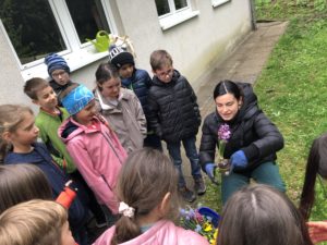 vssanktjohann_3a Frühblüher3