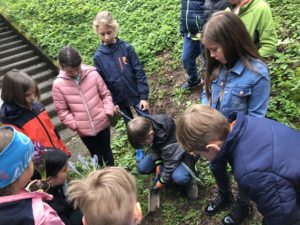 vssanktjohann_3a Frühblüher2