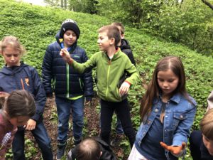 vssanktjohann_3a Frühblüher1
