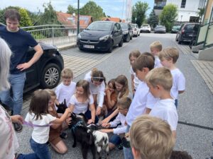 vssanktjohann_2b_Tiere6