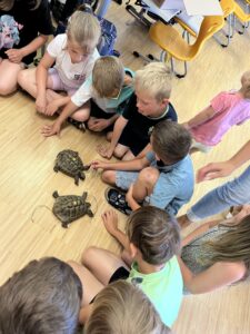 vssanktjohann_2b_Tiere3