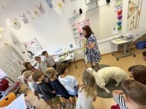 vssanktjohann_2b_Tiere8