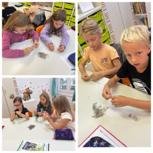 vssanktjohann_3b_ZR 1000_1