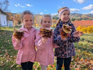 vssanktjohann_1b_Herbst3