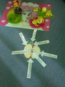 vssanktjohann_1b_Apfel1