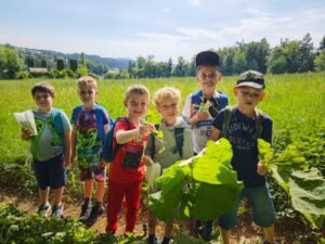 vssanktjohann_1a_Kräuterwanderung 3
